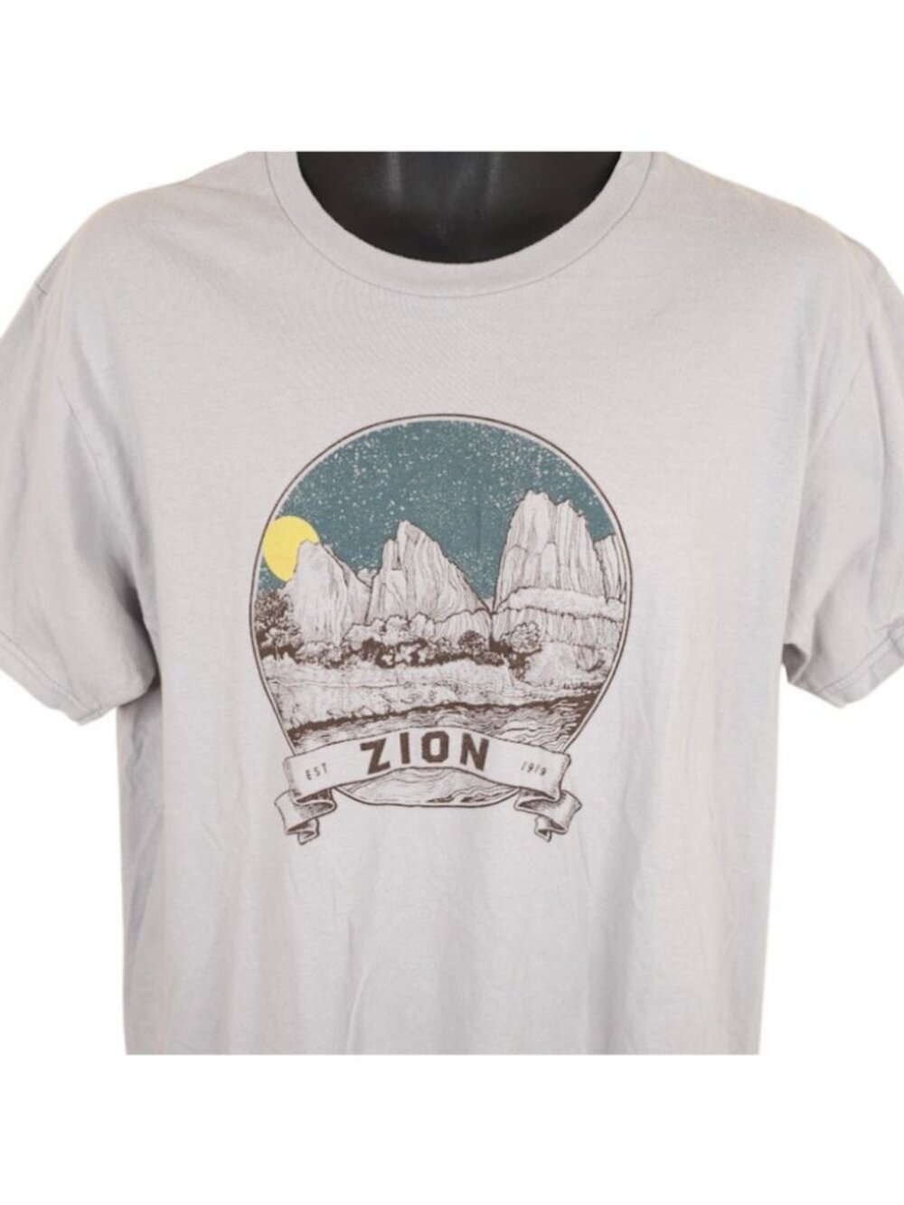 Zion National Park T Shirt Mens Size Large Gray Rock Layers Travel Destination